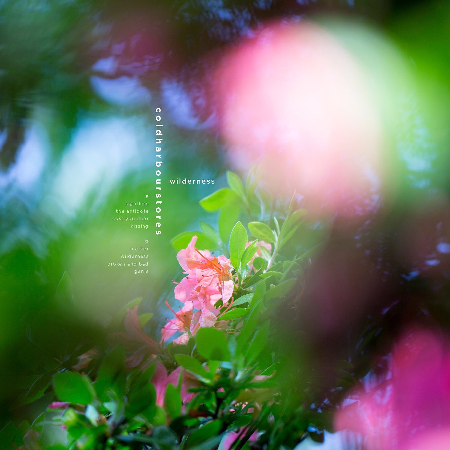 Coldharbourstores Wilderness (2017) : Front